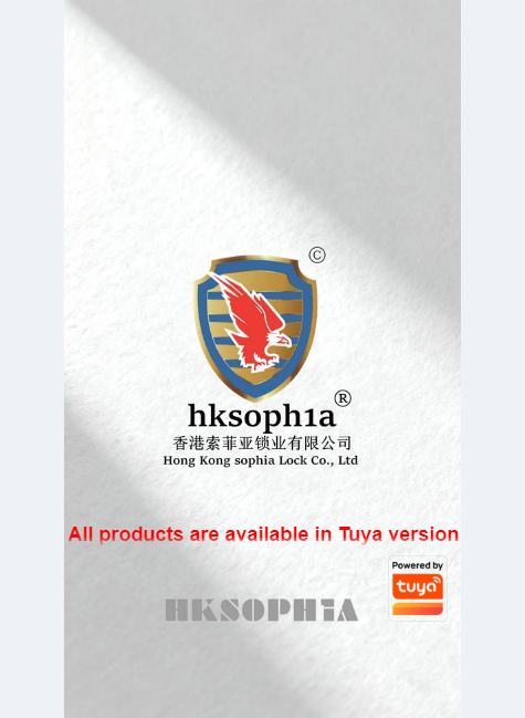 香港索菲亚锁业有限公司（英文）
