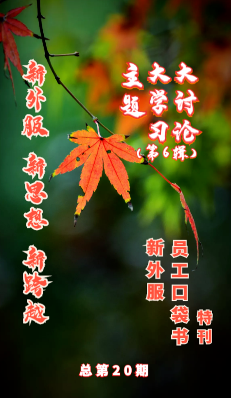 新外服·新思想·新跨越主题大学习大讨论（特刊）第6辑 总第20期