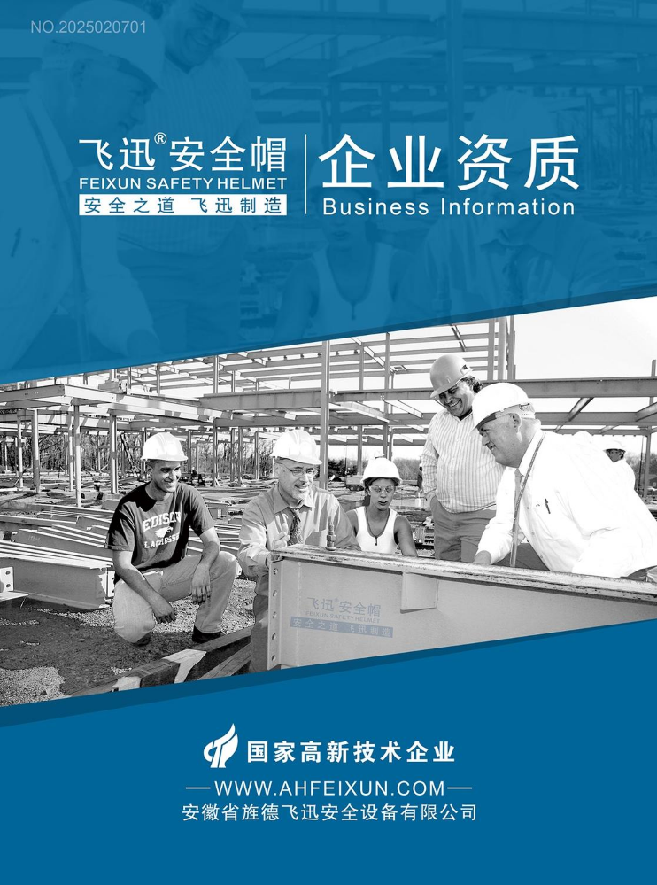 （2026版企业资质）飞迅安全