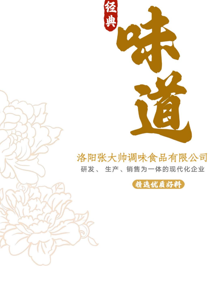 洛阳张大帅调味食品宣传册