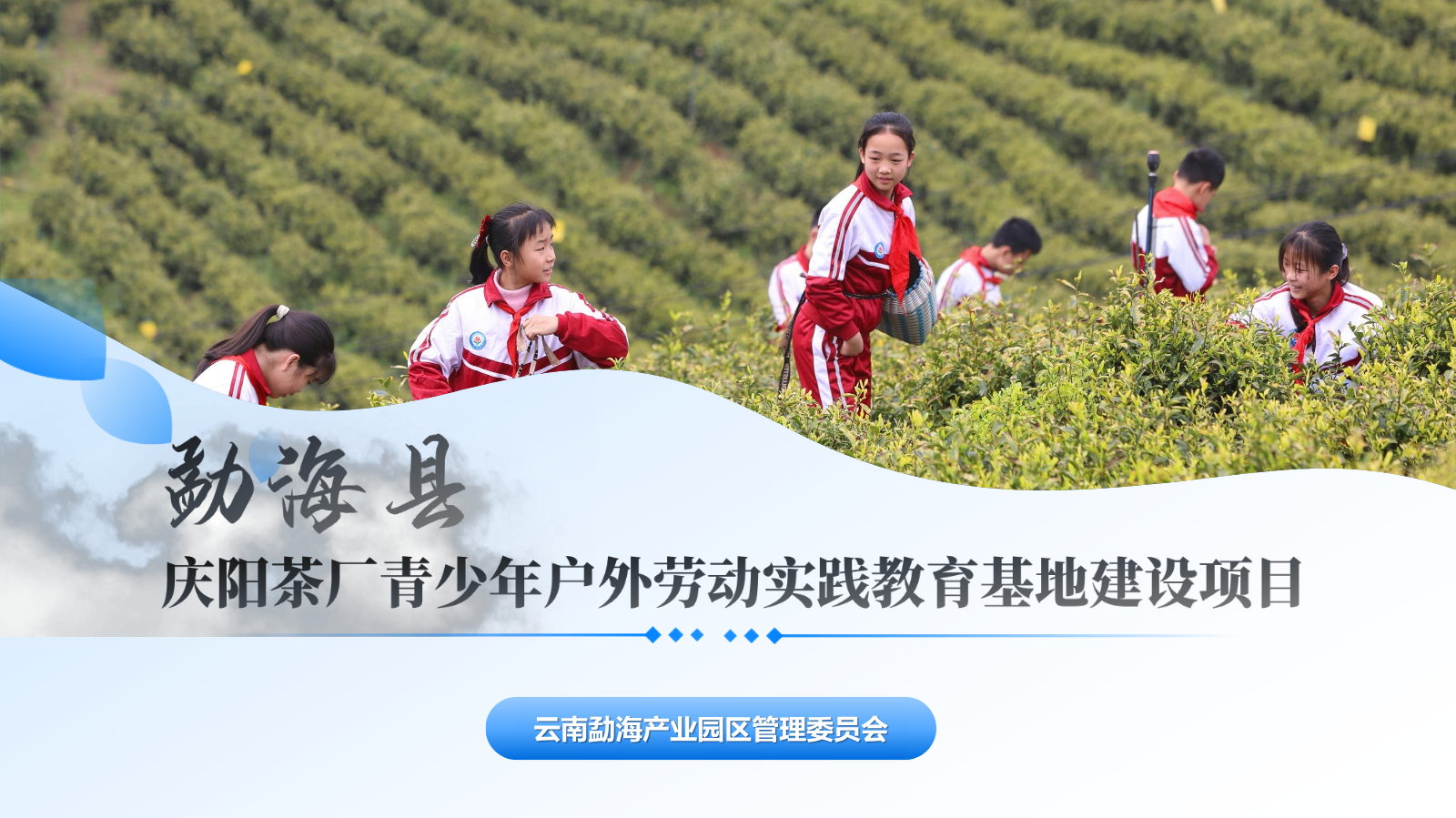 勐海县庆阳茶厂青少年户外劳动实践教育