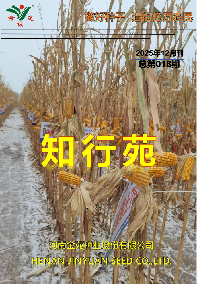 2025年12月刊-总第十八期