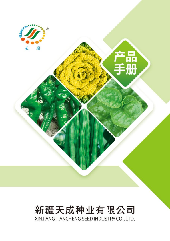 新疆天成电子画册