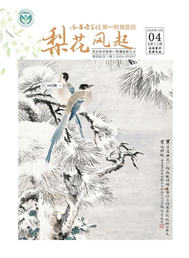 梨花风起第十六期