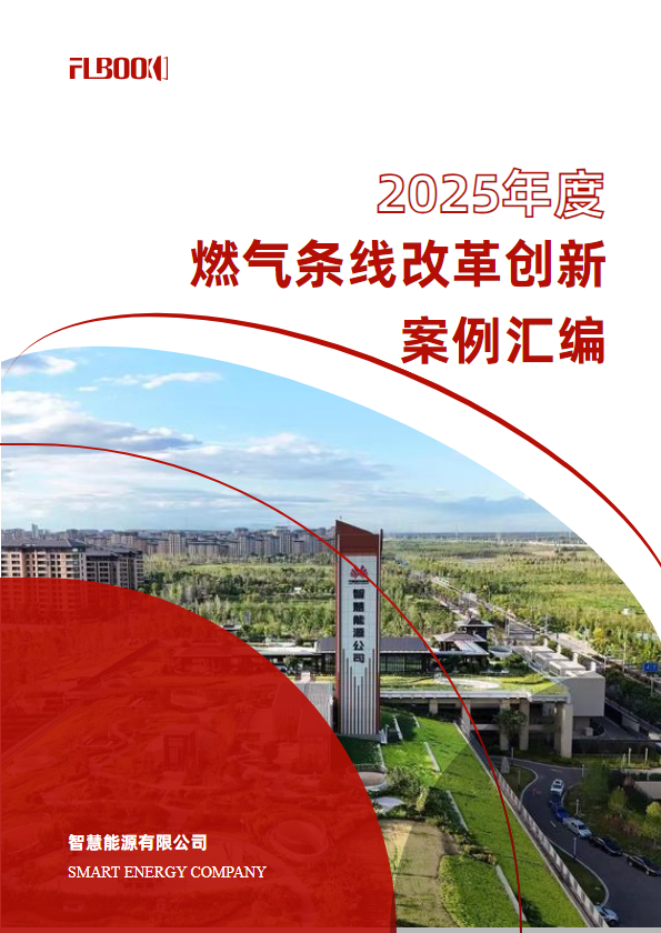 智慧能源公司2025年度燃气条线改革创新案例汇编
