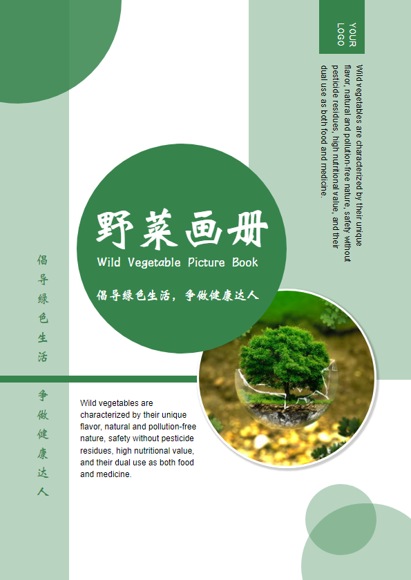 布衣堂药膳馆野菜宣传画册
