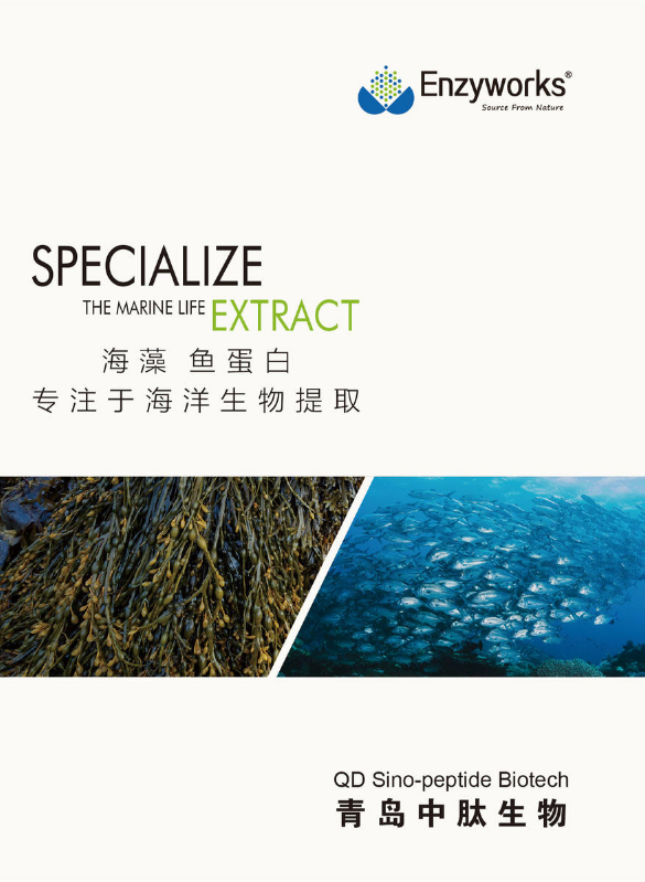 中肽海藻、鱼蛋白画册