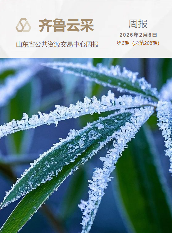 齐鲁云采周报 第二百零八期