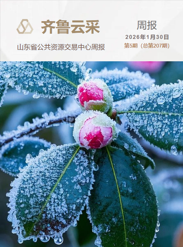 齐鲁云采周报 第二百零七期