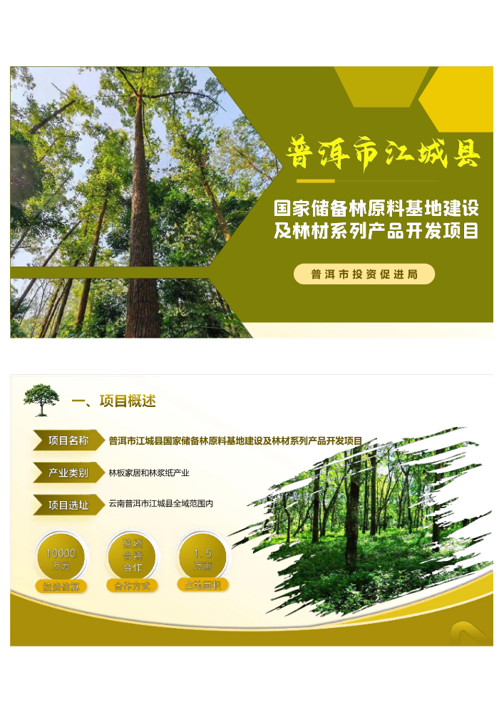 普洱市江城县国家储备林原料基地建设及林材系列产品开发项目