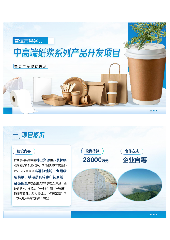 普洱市景谷县中高端纸浆系列产品开发项目