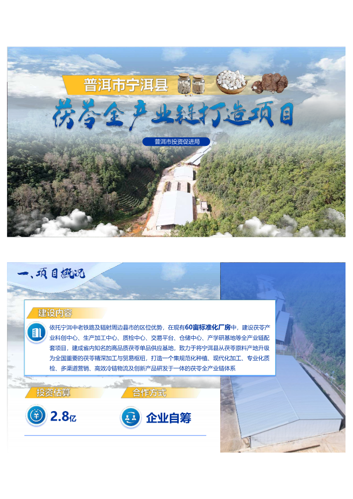 普洱市宁洱县茯苓全产业链打造项目