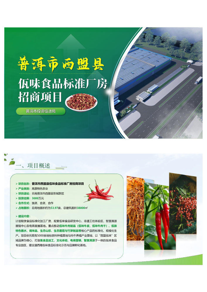 普洱市西盟县佤味食品标准厂房招商项目