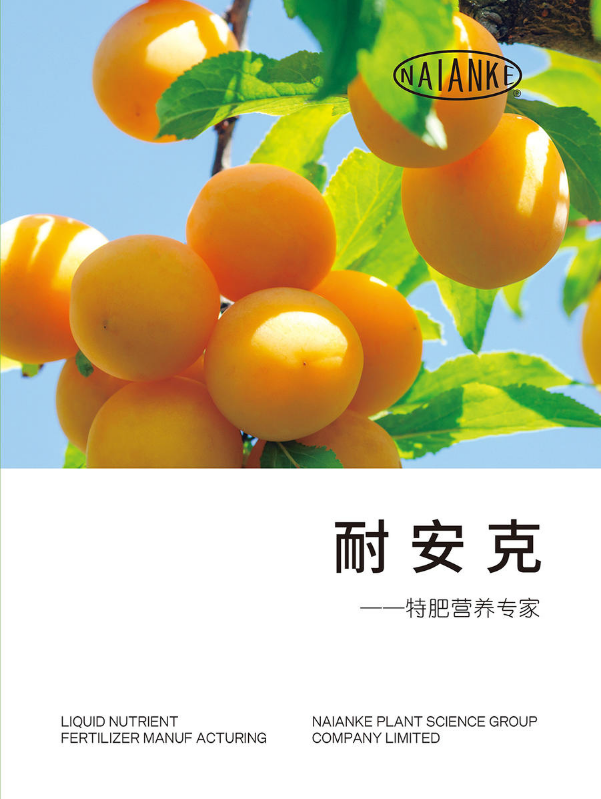 山西耐安克肥业有限公司