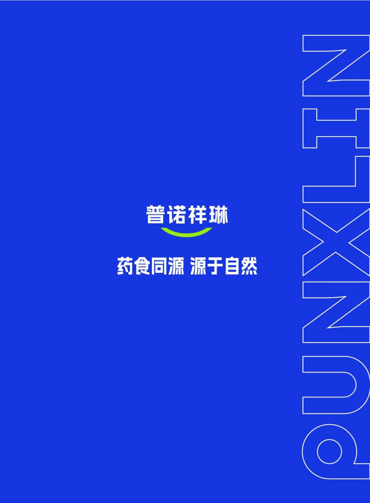 普诺祥琳宣传册2025