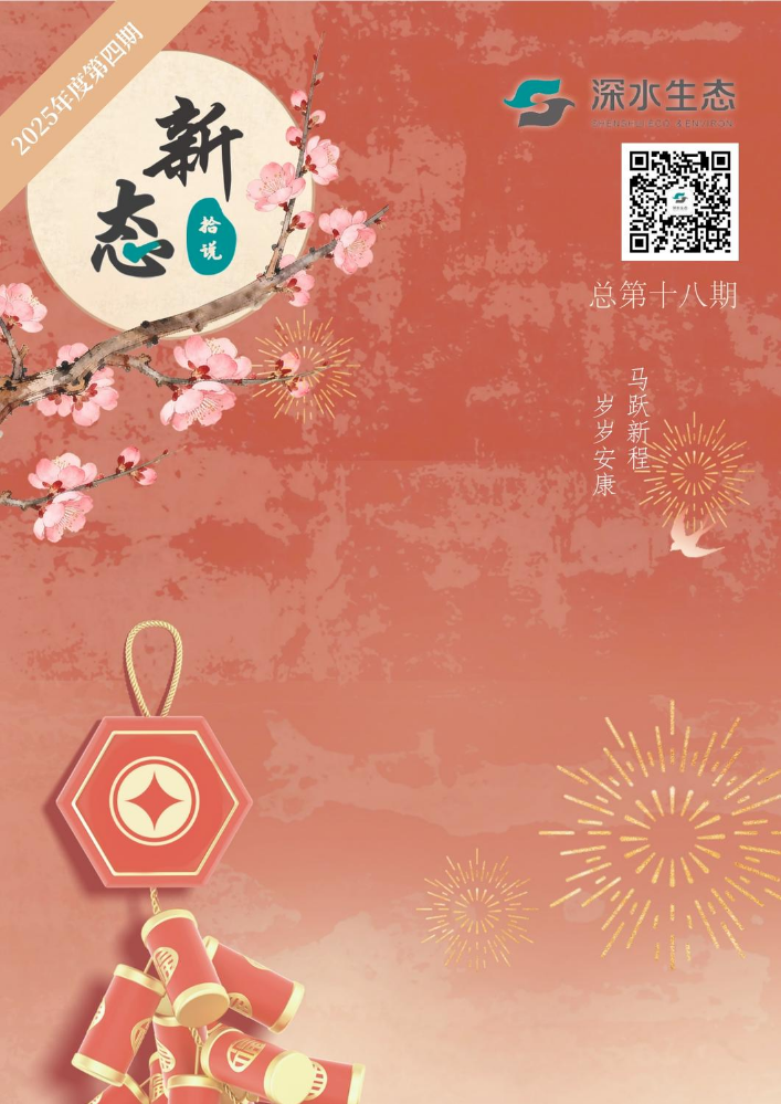 《新态拾说》总第十八期-2025年第四期