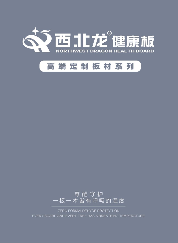 西北龙健康板