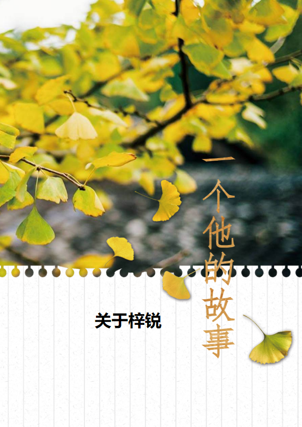 关于梓锐（一个他）的故事