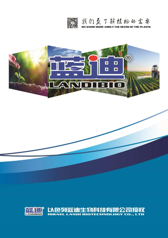 2026蓝迪产品手册