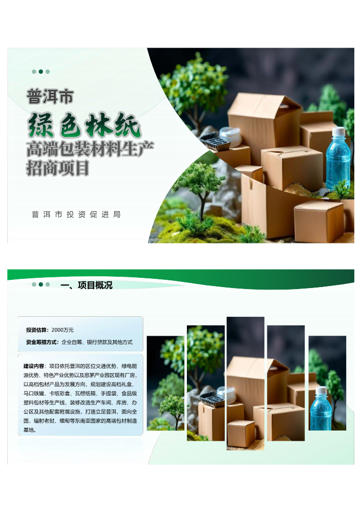 普洱市绿色林纸高端包装材料生产招商项目