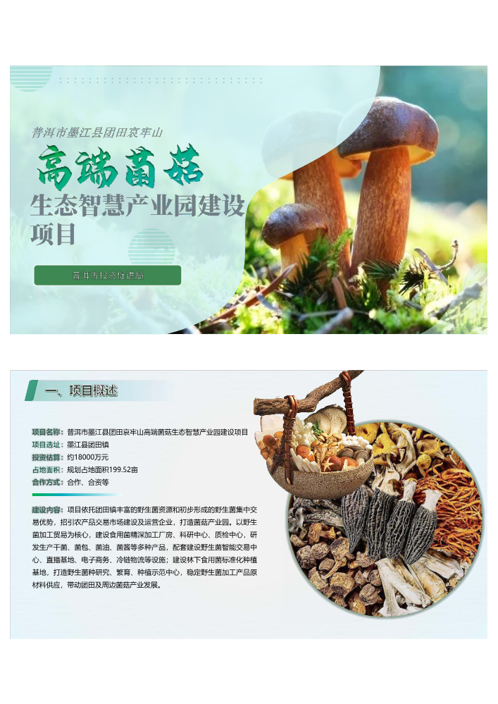 普洱市墨江县团田哀牢山高端菌菇生态智慧产业园建设项目