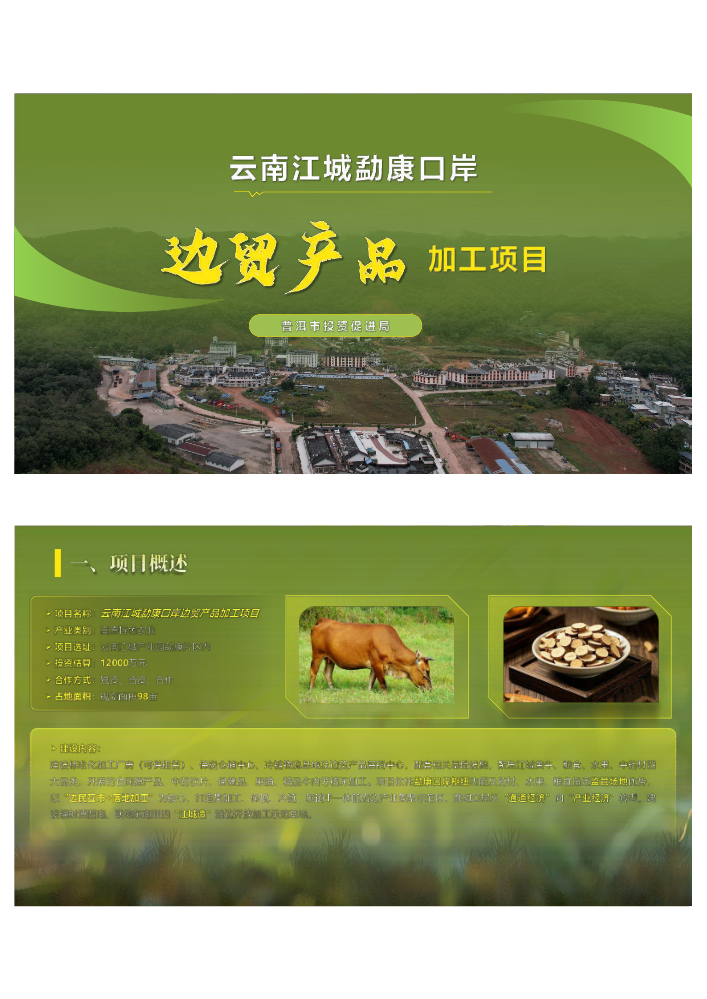 云南江城勐康口岸边贸产品加工项目