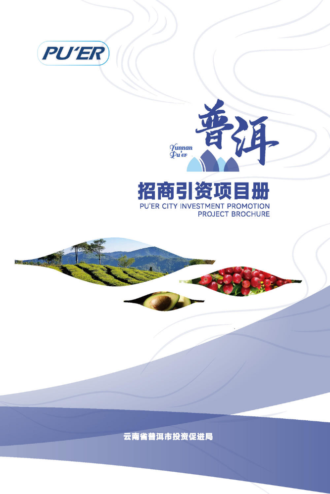 普洱招商折页