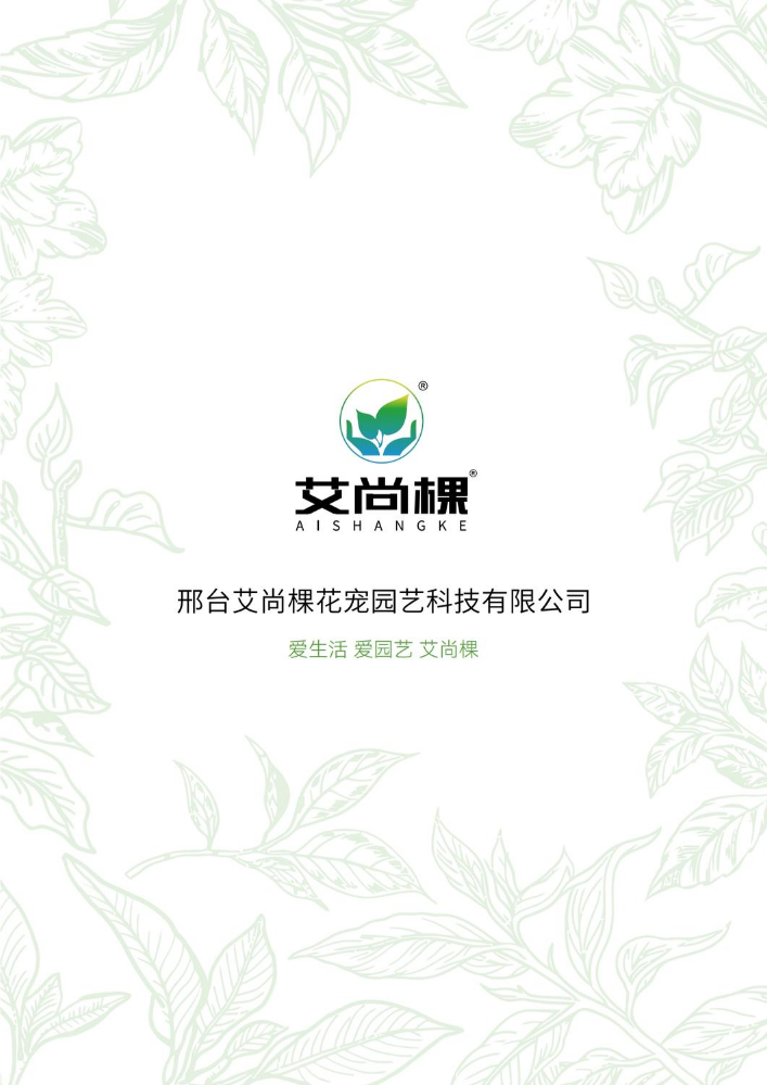 艾尚棵 产品宣传 26年全新画册设计