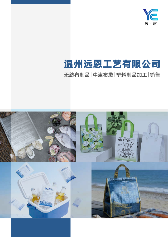 远恩产品宣传册