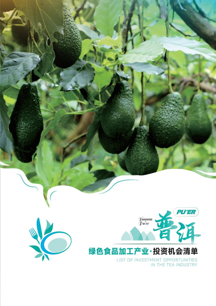 绿色食品投资机会清单