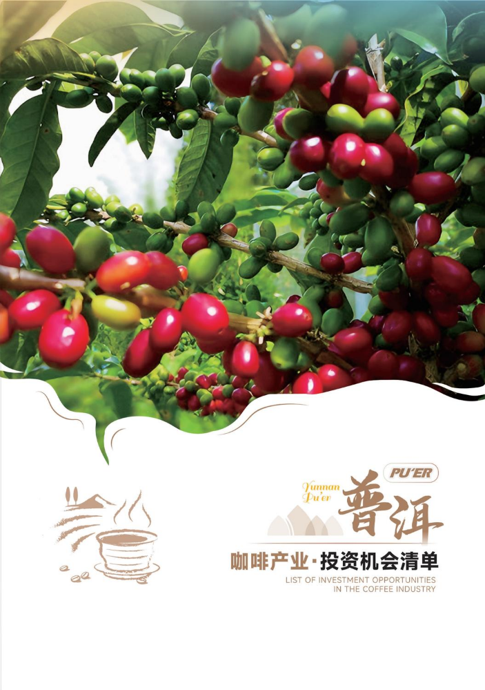咖啡产业投资机会清单
