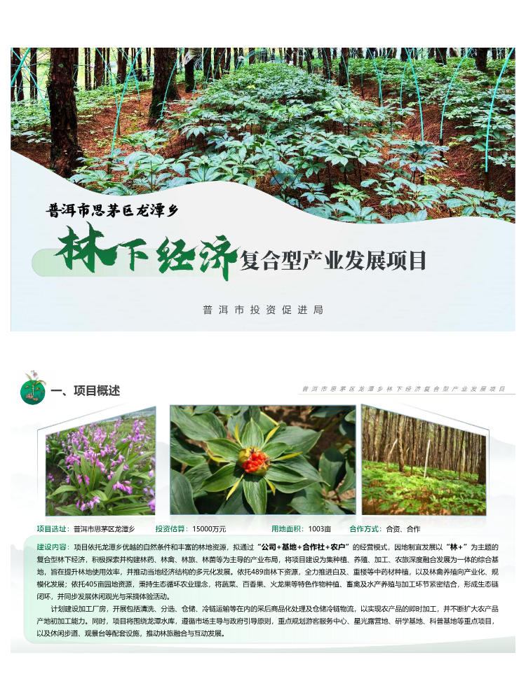 普洱市思茅区龙潭乡林下经济复合型产业发展项目