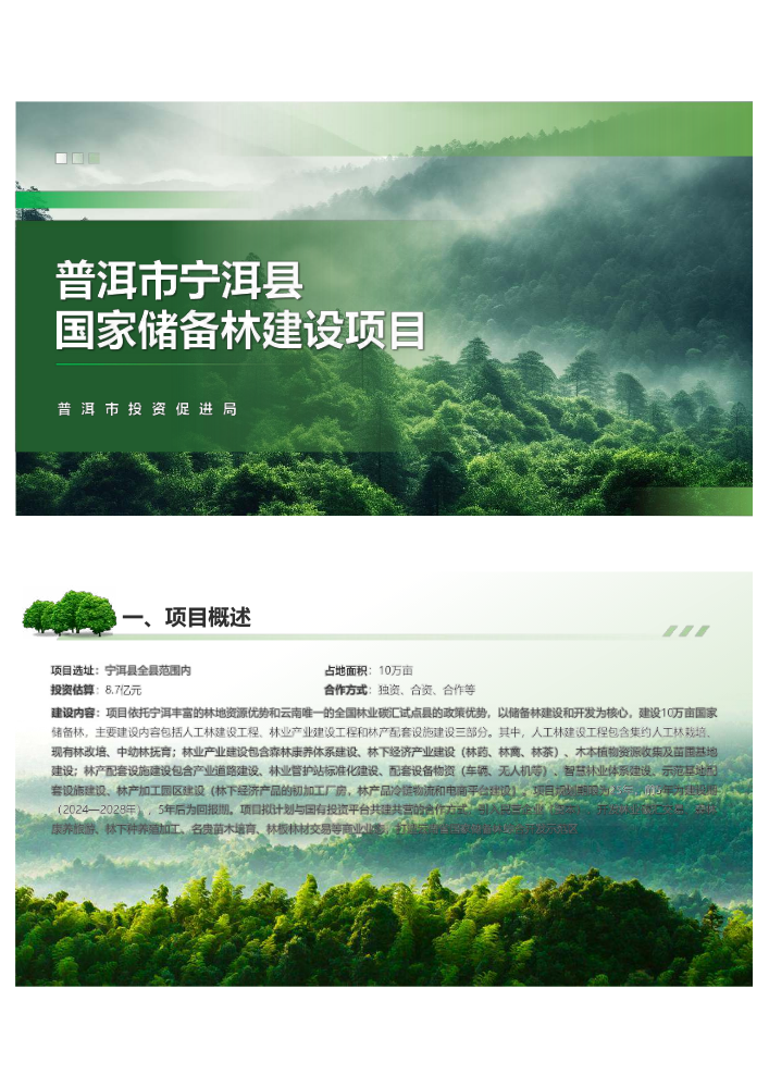 普洱市宁洱县国家储备林建设项目