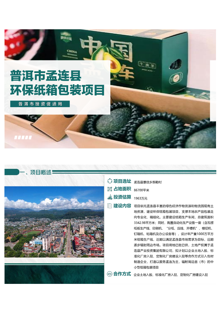 普洱市孟连县环保纸箱包装项目