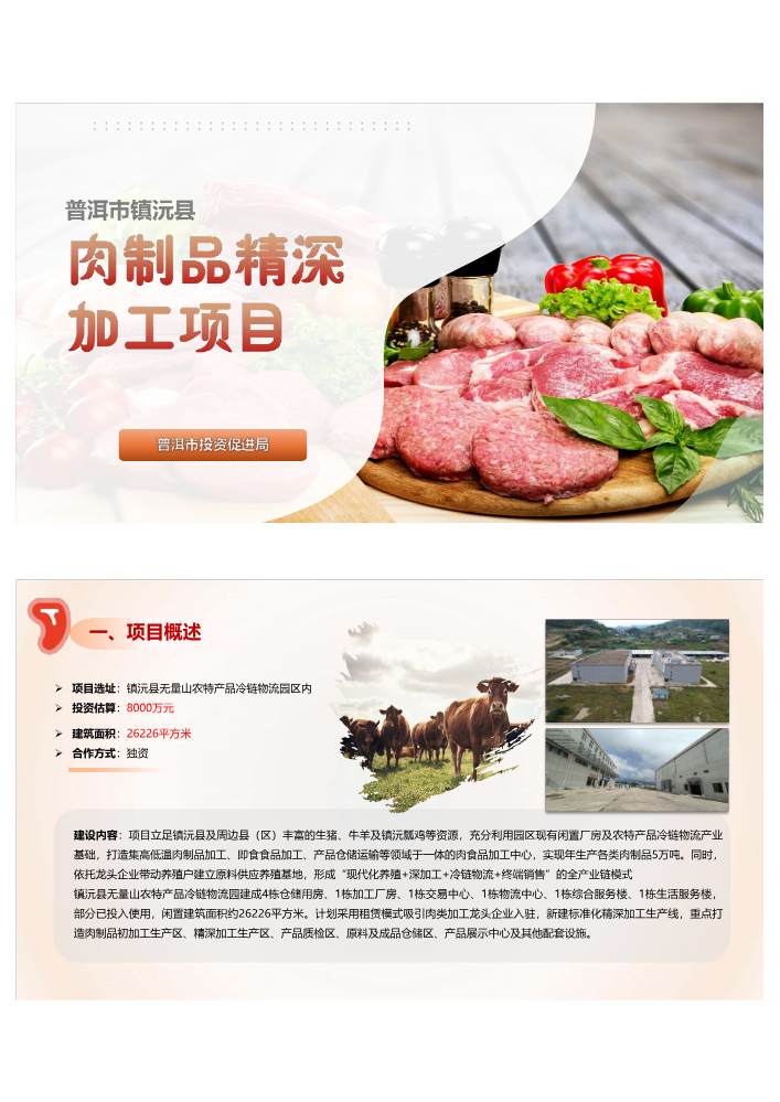 普洱市镇沅县肉制品精深加工项目