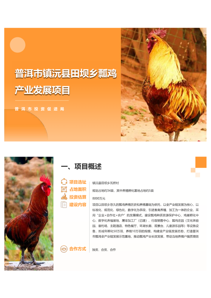 普洱市镇沅县田坝乡瓢鸡产业发展项目