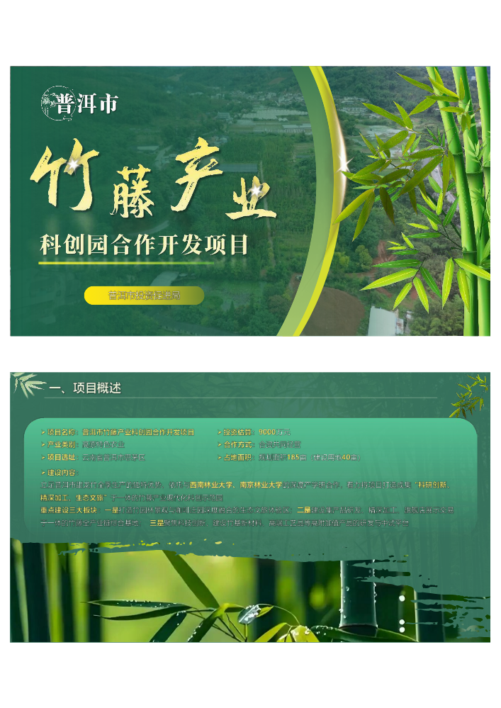 普洱市竹藤产业科创园合作开发项目
