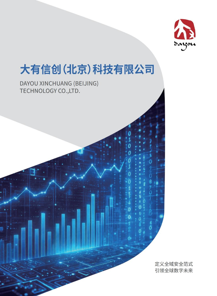 大有信创（北京）科技有限公司宣传册
