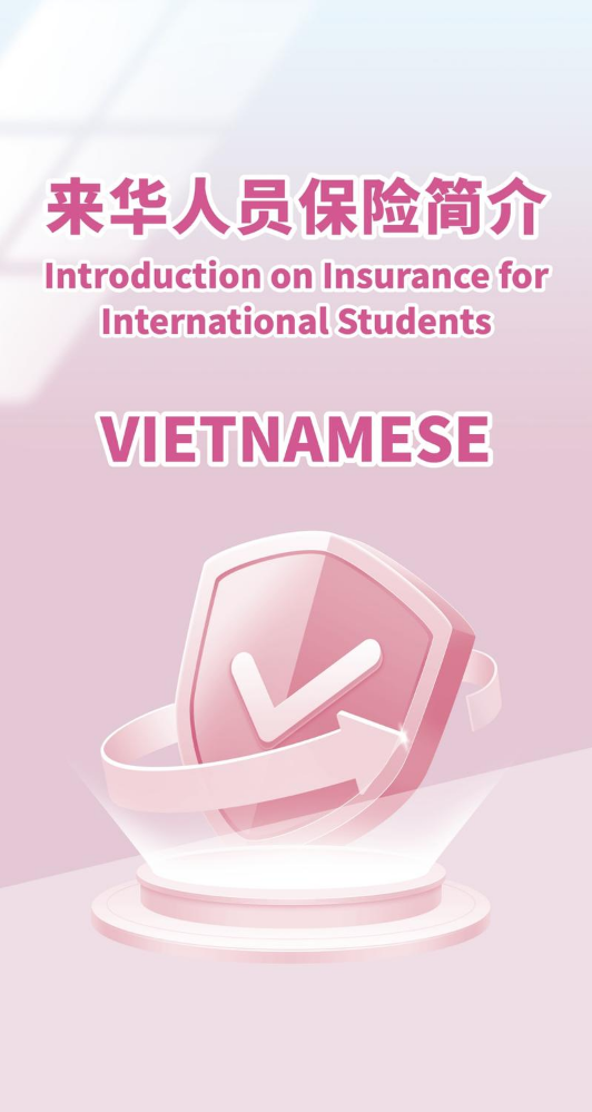 保险Insurance-Vietnamese