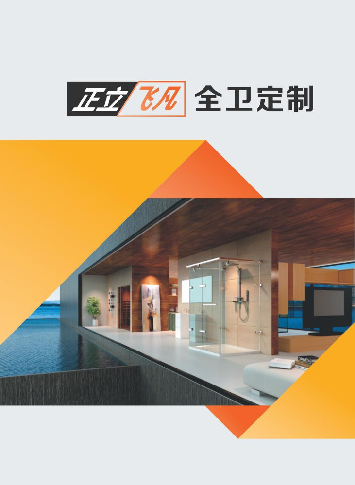 正立飞凡全卫定制