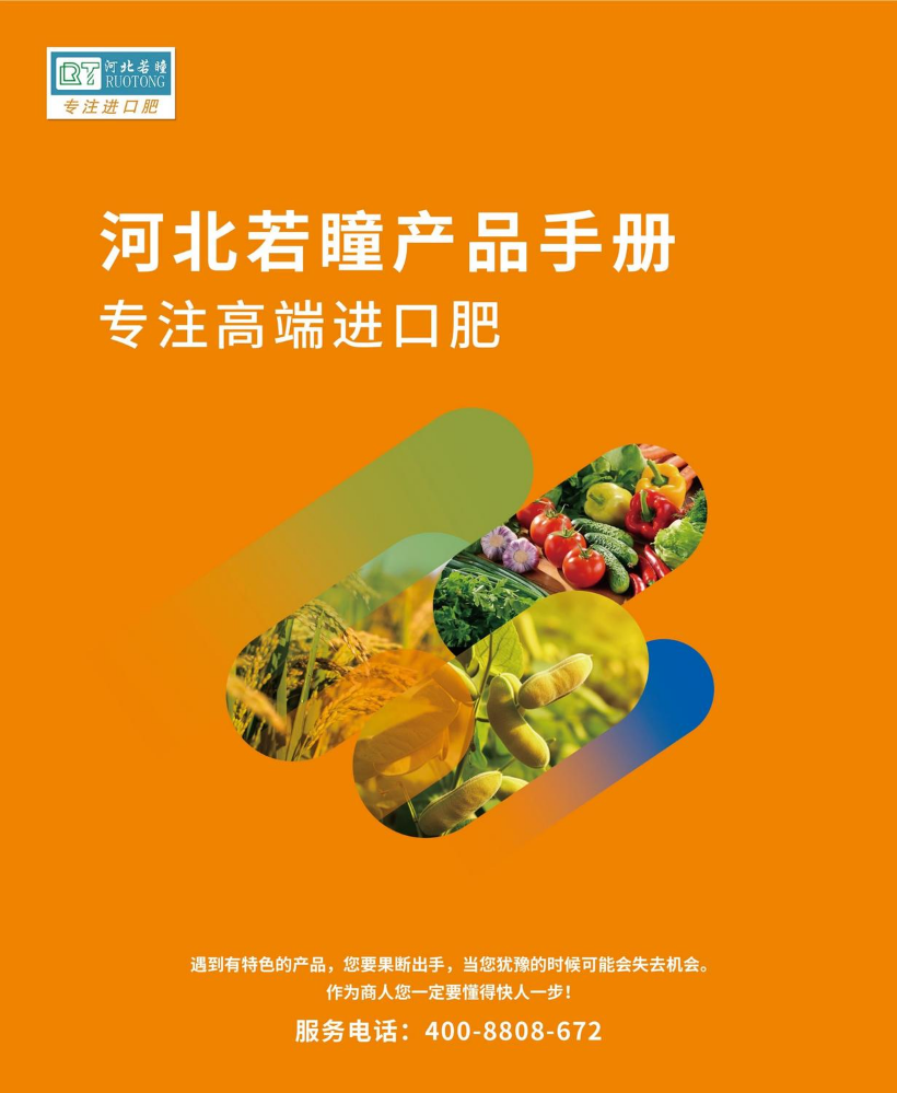 河北若瞳产品手册