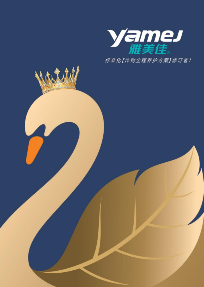 雅美佳电子画册