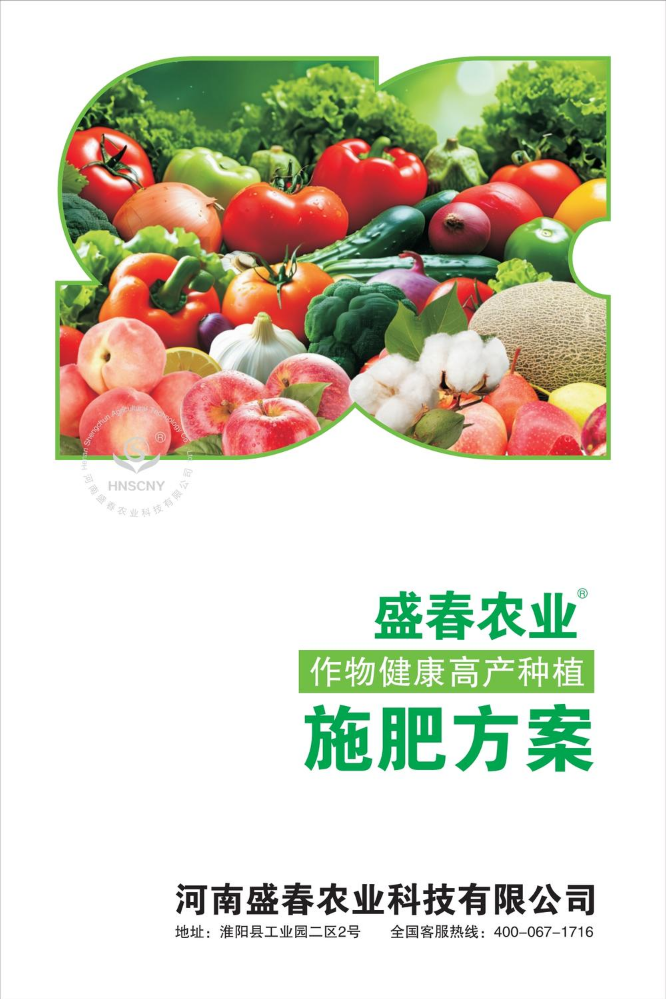 盛春农业 施肥方案 小画册