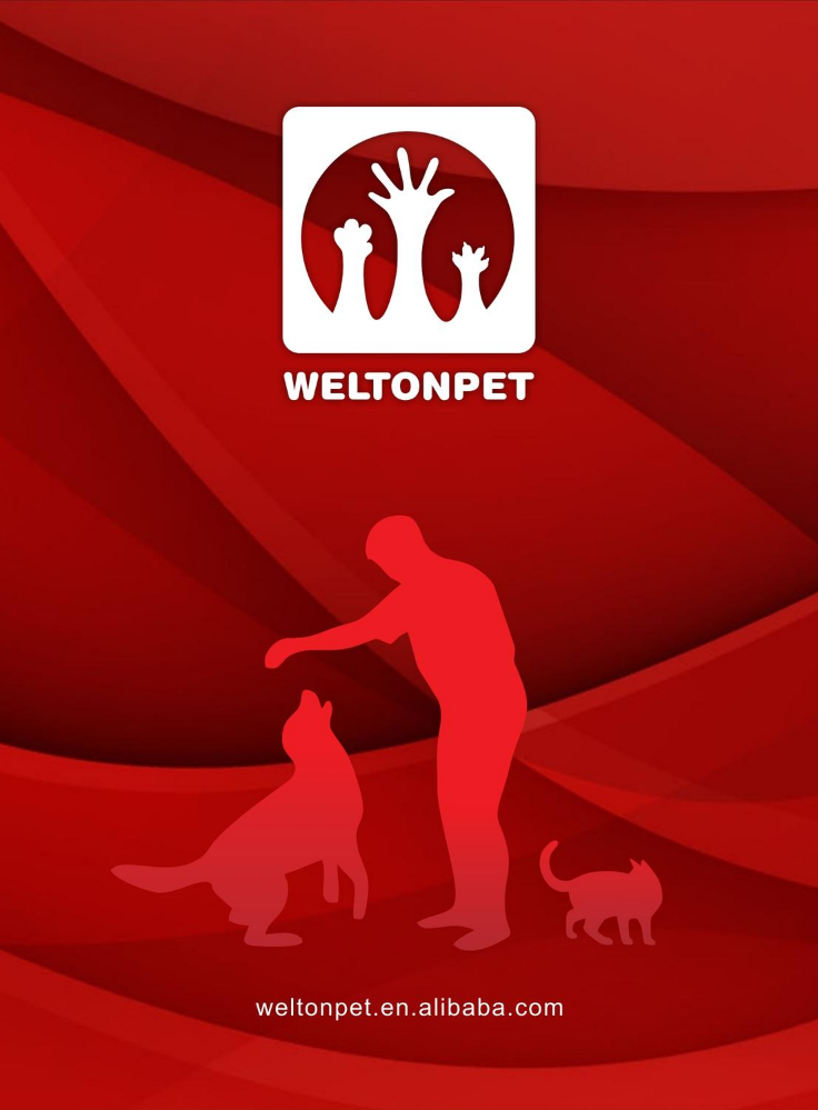 威尔顿零食画册