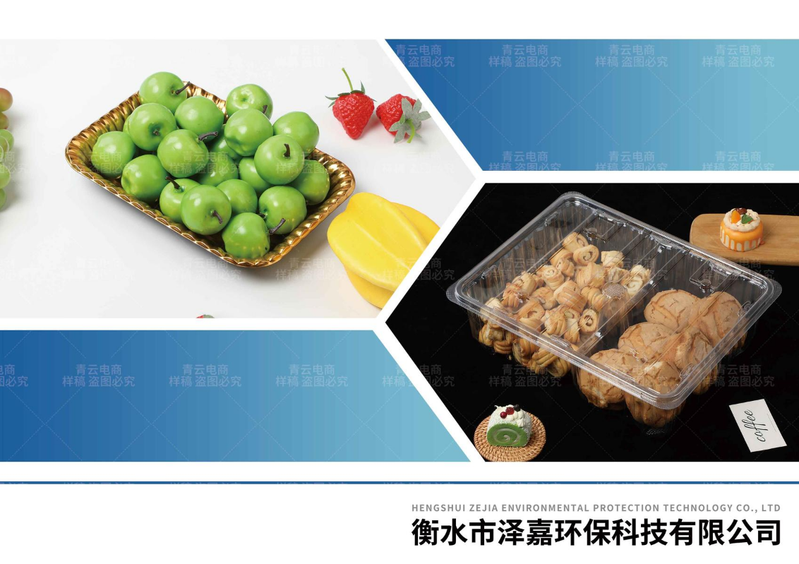 衡水市泽嘉环保科技有限公司