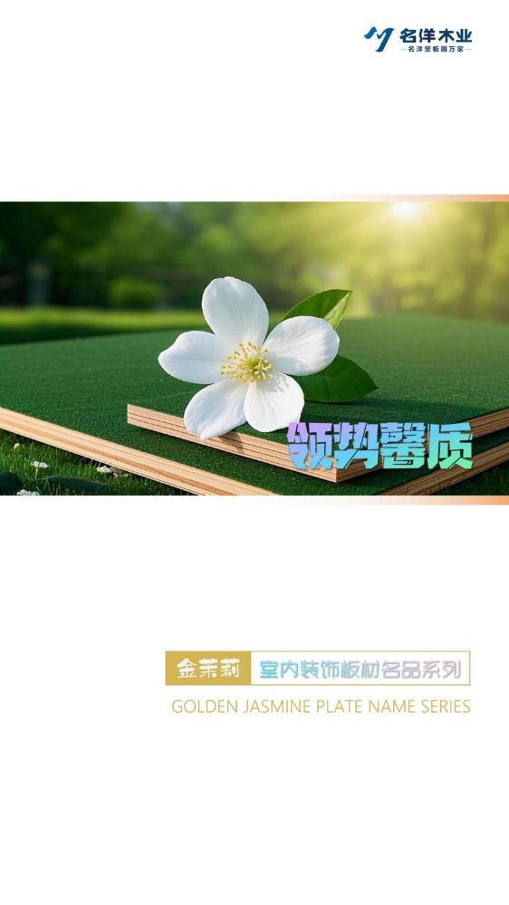 名洋坚板金茉莉系列色卡