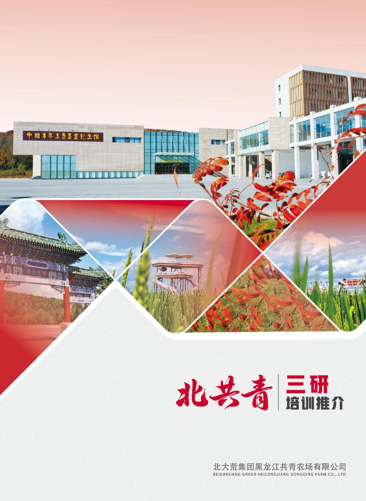 北共青三研培训推介