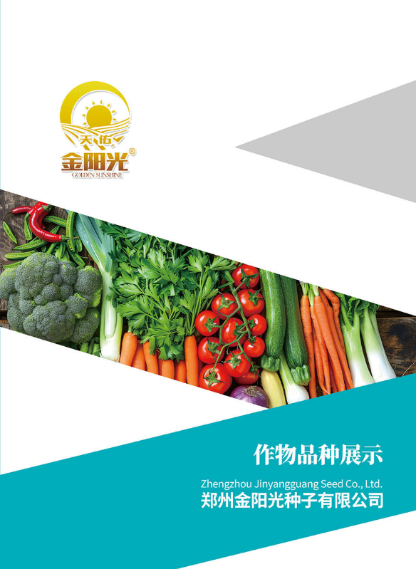 金阳光电子品种展示手册