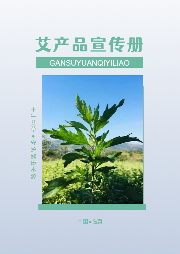 甘肃元器医疗科技有限公司艾产品宣传册