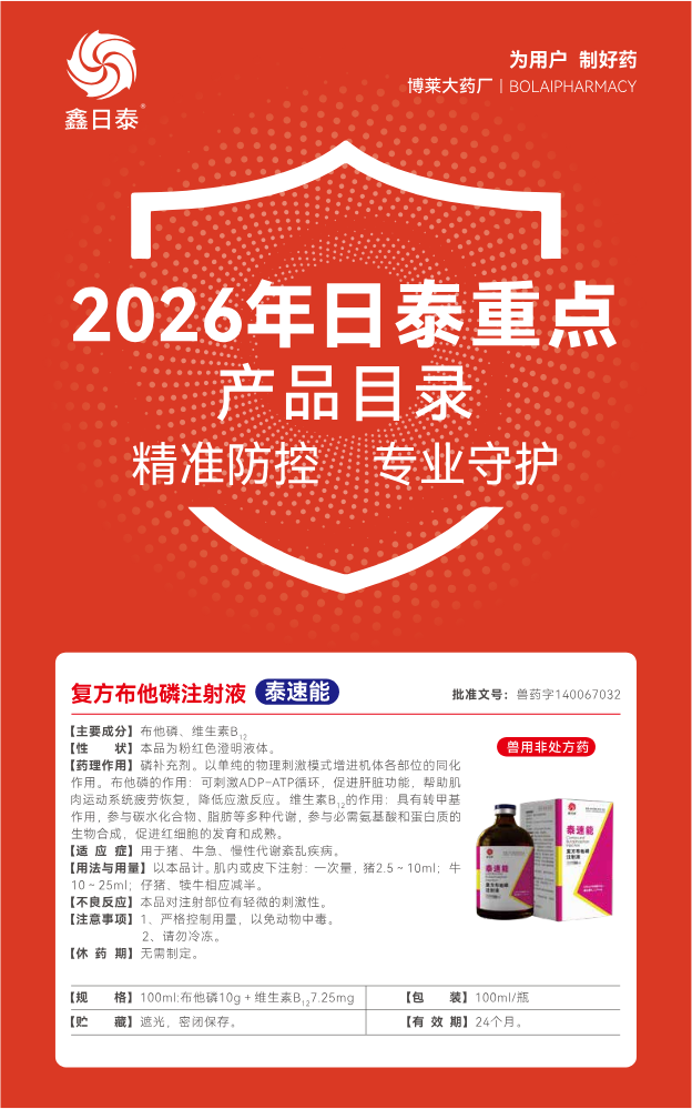 2026日泰重点产品目录